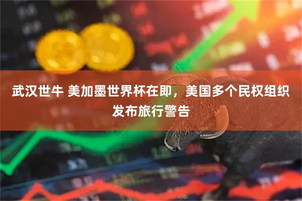 武汉世牛 美加墨世界杯在即，美国多个民权组织发布旅行警告